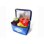 Waterproof Insulated Lunch Bag for sale
