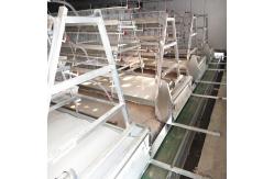 China 10-12m/Min Belt Poultry Manure Removal System Noiseless For Chicken Farm supplier