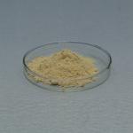Food Grade & Feed Grade Glucose Oxidase Powder Like Baking Enzymes for sale