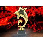 Custom Logo Plastic Trophy Cup With Star Design Three Sizes Optional