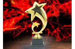 China Custom Logo Plastic Trophy Cup With Star Design Three Sizes Optional supplier