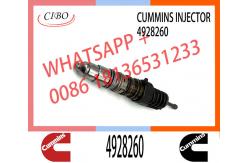 China Engine Parts ISX15 QSX15 Common Rail Fuel Injector 4928260 2874505 4903472 supplier