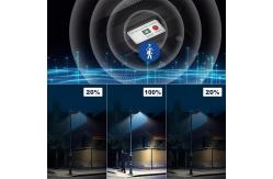 China 100W Solar Street Light with an Inbuilt Battery and Motion Sensor Designed supplier