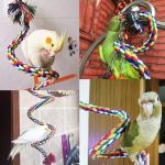 Pet Ropes Durable Dog Rope Toys Rope Animal Dog Toys for sale