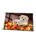 AUO B080EAN02.0 800*1280 118 PP LCD SCREEN for sale