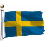 3x5Ft Sweden Flag Polyester Fabric With Two Plastic Hooks  Outdoor And Indoor Fabric for sale