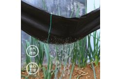 China Permeable Weed Barrier Fabric Ideal for Orchards and Vineyards supplier