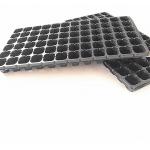 flower and tree seedlings growing plastic containers for outdoor planter