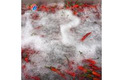 China 3KW Bubble Circulating Surfing Fruit And Vegetable Washing Machine Ozone Sanitization Bubble supplier