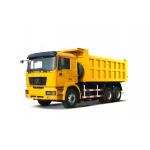 10 Wheel Tipper Truck F2000 Left Hand Drive 6x4 Dump Truck SHACMAN Diesel Engine WP10.290E32 for sale
