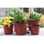 Nursery Plastic Horticultural Plant Pots Thermal Formed For Flower Seedling for sale