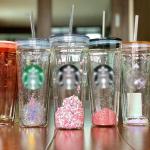 Double Wall Acrylic  Sublimation Glass Snow Globe Tumbler 24oz