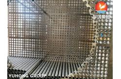 China Heat Exchanger Tube Bundle , Stainless Steel Heat Exchanger Tube and Tubesheet supplier