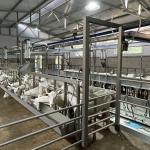 Farms Dairy High Productivity Milking Parlor Equipment Flexible Goat Milking Parlor for sale