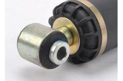 China IVE-CO Rear 41028764 Air Spring Shock supplier