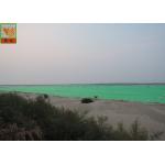 Green HDPE Ground Cover Soil Netting For Environment / Erosion Control 8m Width