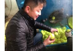 China Inflatable Jumbo Tennis Balls manufacturer