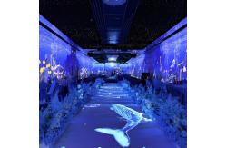China Northern Lights 3D Holographic Projection Interactive Gaming Projector supplier