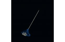 China Vertebroplasty Kyphoplasty Kit Diversified Sizes Class II Instrument supplier