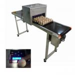 Environmental Protection Egg Date Lot Batch Code Printer With USB Storage for sale