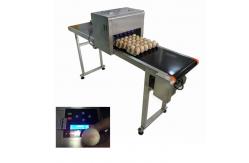 China Environmental Protection Egg Date Lot Batch Code Printer With USB Storage supplier