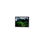 AUO TFT-LCD Module screen DE101IA-07P 10.1 inch lcd panel display for sale