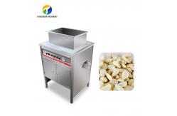China OEM Electric Garlic Processing Machine Skin Removing Equipment supplier
