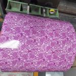 Cold Rolled Ppgl PPGL Steel Sheet Coil Plate 30g / M2 For Roof for sale