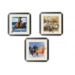 Office / Hotel Decoration Animal Picture 5d Lenticular Picture With Frame for sale