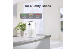 China Mini 10000mAH Small Household Air Purifier AP01 HEPA H13 Desk White supplier