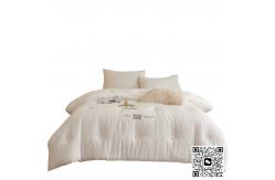 China Cotton Winter Quilt Double Thick Spring And Autumn Quilt supplier