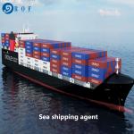 Cargo Duty Included DDP Sea Shipping From China To Canada for sale