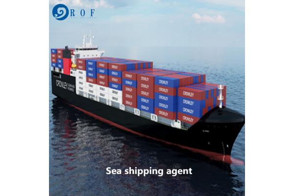 Cargo Duty Included DDP Sea Shipping From China To Canada