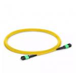 Mpo To Mpo 8 12 24 Fiber Optic Patch Cord Low Insertion for sale