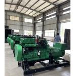 Industrial Backup Emergency 250KW 300KVA Natural Gas Powered  Electric Generator Set for sale
