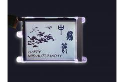 China RYG320240D 320x240 Dots COG LCD Module Replace HANTRONIX HDG320240 supplier