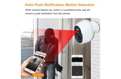 China Low Consumption Intruder Detection Tiny den Cameras Wireless supplier