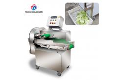 China 180KG Multifunctional vegetable cutting machine commercial leaf vegetable root slicing and sectioning machine supplier