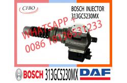 China Injector Pump 313GC5230M 313GC5230MX For DAF XF95 95XF 480 CF75/85 supplier