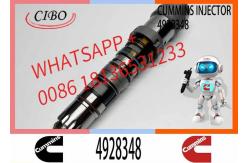 China Q19 diesel engine common rail injector 4087888 4087889 4928348 4010025 4928345 4928346 supplier