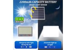 China 100W Lens Brightness Household Lighting Remote Controlled Solar Powered Flood Light supplier