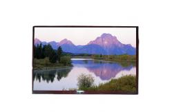 China LCD panel 10.1 inch B101UAN01.1 lcd display module screen supplier