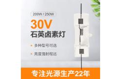 China Tungsten Double Ended Halogen Lamp 200w 250W 30V supplier