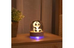 China 3.7V 1W Bedroom LED Night Light Panda Design USB Rechargeable supplier