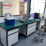 Customizable Chemistry Lab Workbench Laboratory Workstation High Safety Environment for sale