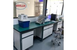China Customizable Chemistry Lab Workbench Laboratory Workstation High Safety Environment supplier