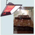 Incubator Infrared Gas Brooder CE Certificated For Chick Animal Husbandry