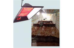 China Incubator Infrared Gas Brooder CE Certificated For Chick Animal Husbandry supplier