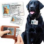 Custom DIY Sublimation MDF Dog Tag Blanks ID Anti-Lost Card Heat Transfer Blank PET License Tag For Pet for sale
