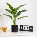 Casual Decor Fake Potted Floor Plants Taro Fabric Plastic Material for sale